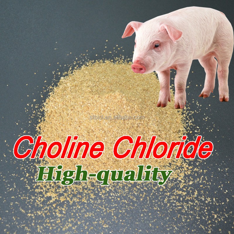 choline chloride manufacturing process