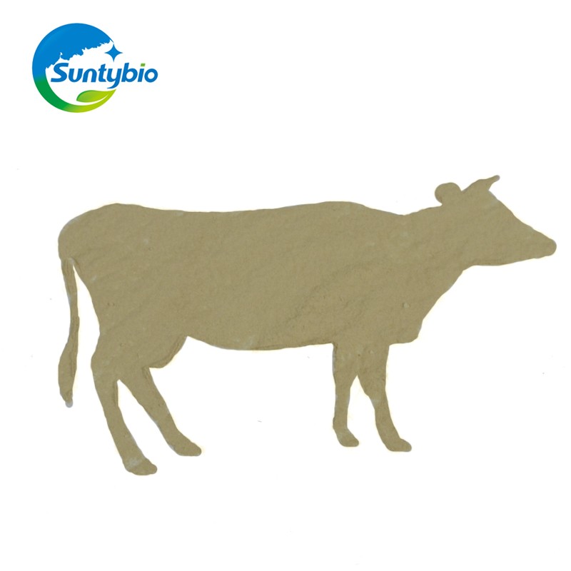 Natural Feed Additive Fish Growth Booster Bacillus Subtilis for Agriculture