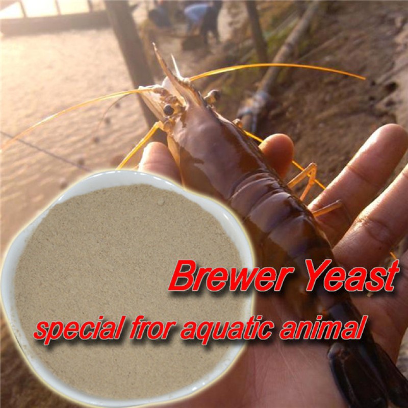 Top Sale 100% Pure Brewers Yeast for Animal Feed