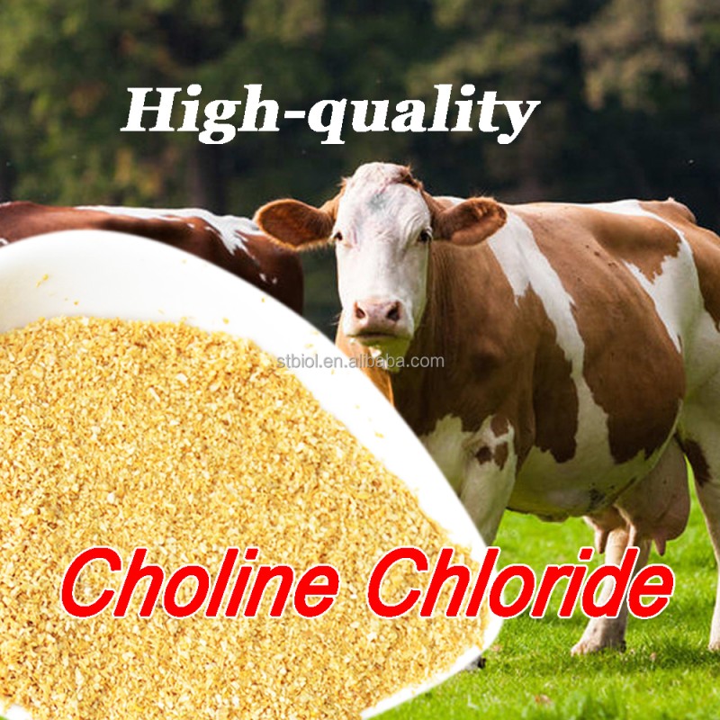 choline chloride manufacturing process