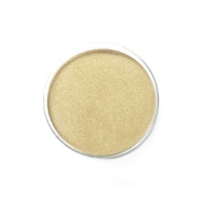 Probiotic Bacillus Subtilis for Animal Health Agriculture and Water Treatment