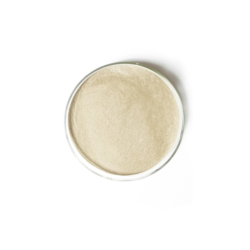 Feed  Additives Manufacturer Bacillus Licheniformis