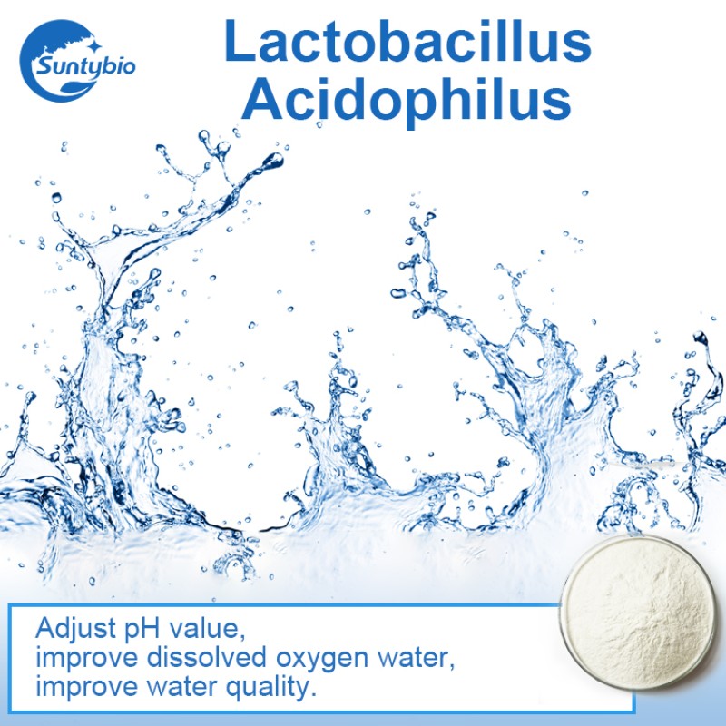 Wholesale Price Probiotics Lactobacillus Acidophilus Powder