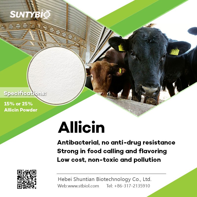 ISO SGS certified allicin/allicin garlic plant extract bio attractant