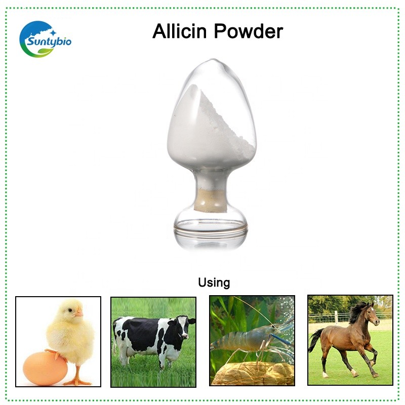 Wholesale Garlic Powder Allicin 25% for Aqua