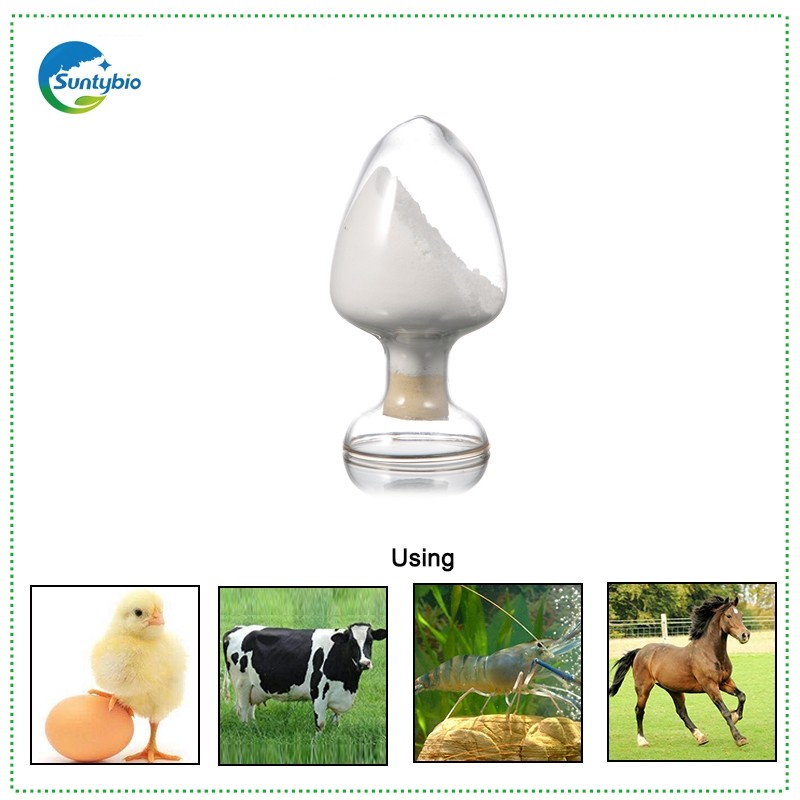 High Quality Feed Additive Natural Antibiotic Expelling Parasite High Quality Allicin Powder