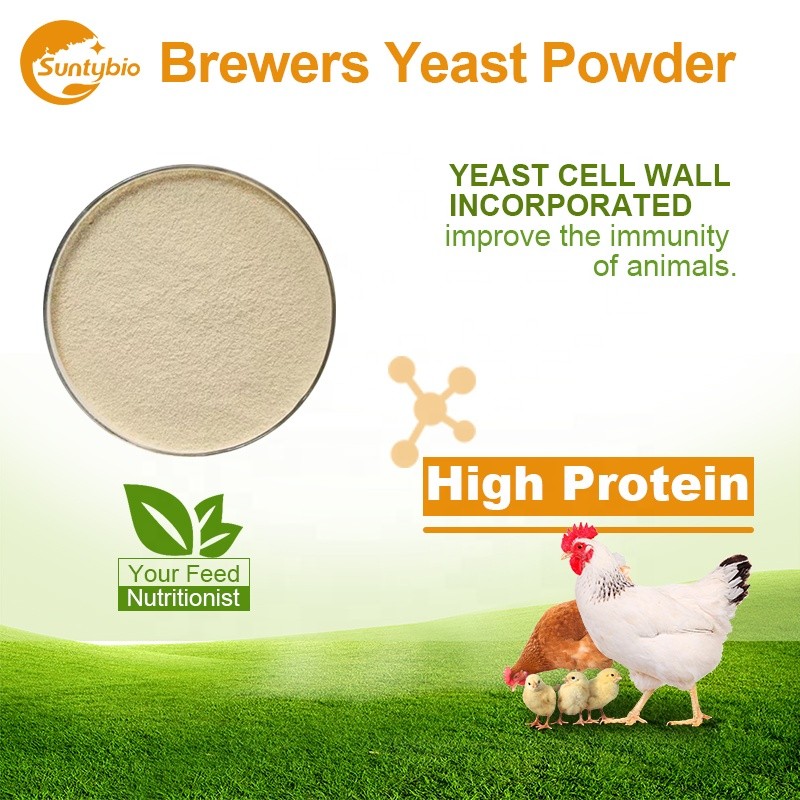 Raw Material Feed Additive Torula Yeast Powder With 45% Protein