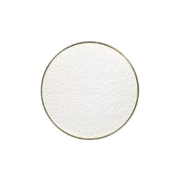 Animal Nutrition Feed Grade Allicin powder 25% for poultry food