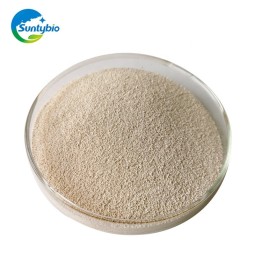 China Manufacturer Active Dry Yeast Price for Animal