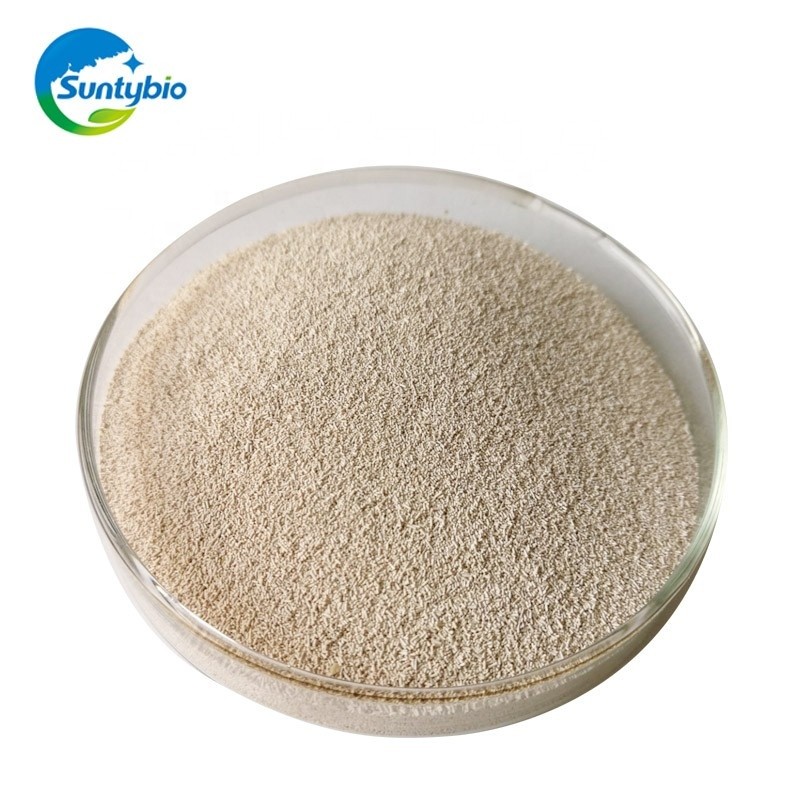 China Manufacturer Active Dry Yeast Price for Animal