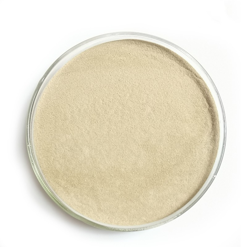 Feed  Additives Manufacturer Bacillus Licheniformis