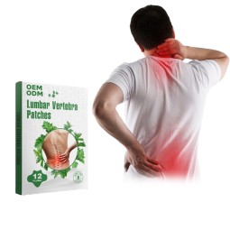Wormwood Pain Relief Patches Factory - OEM Private Label Natural Herbal Back Lumbar