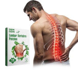 Herbal Patches Supplier - OEM Long-Lasting for Lumbar Relief Functional Healthcare