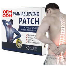 Lumbar Spine Support Manufacturer - Customizable Chinese Herbal Wormwood Analgesic