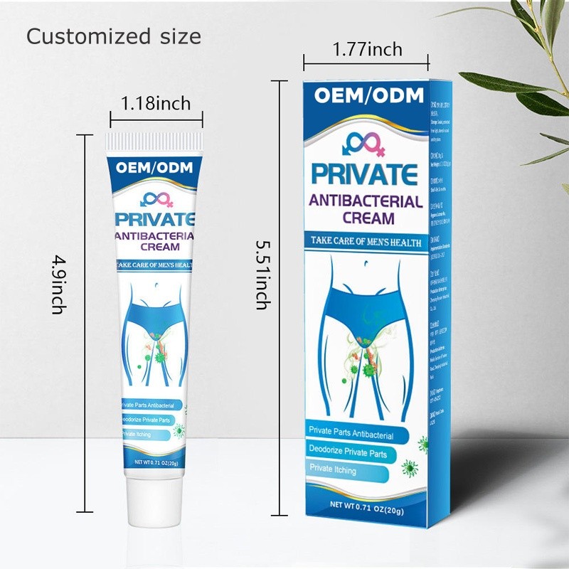 Leg Slimming Patch Factory - ENWEI Trending 2025 New Arrivals Fat Lose OEM/ODM