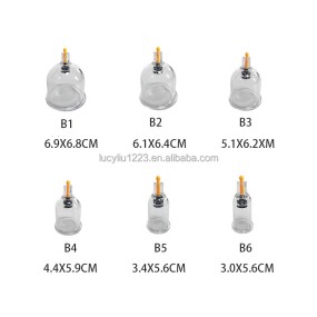 Plastic Cupping Cups Supplier - Vacuum Therapy Cellulite Massager
