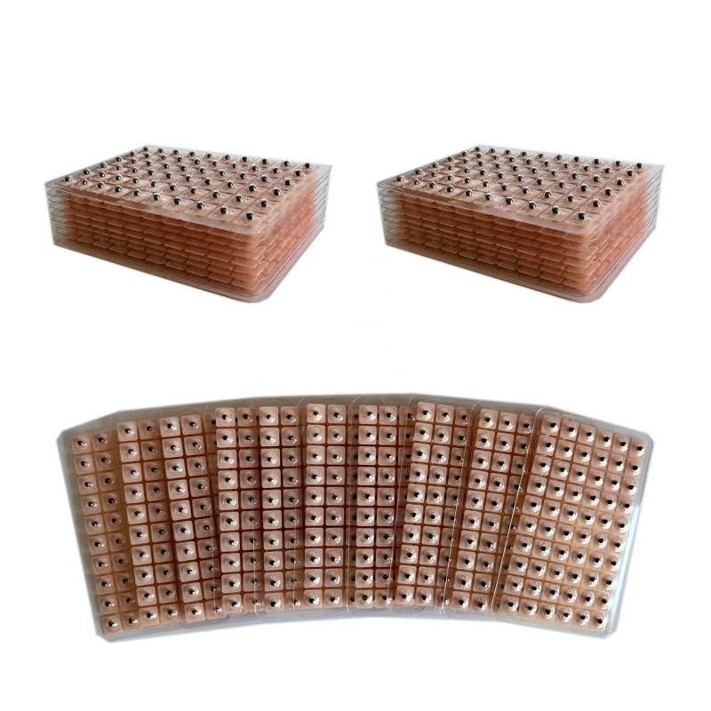 Ear Seeds Supplier - Vaccaria 600 Counts Acupressure Kit