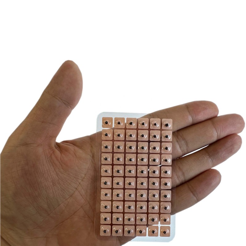 Ear Seeds Supplier - Vaccaria 600 Counts Acupressure Kit