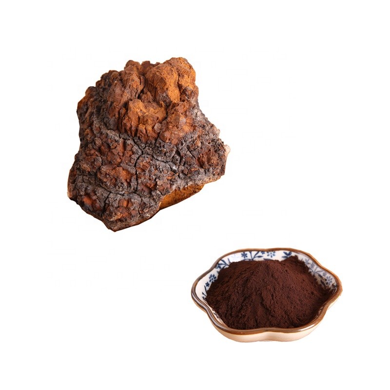 Chaga Mushroom Powder Manufacturer - Herbal Extract Supplement