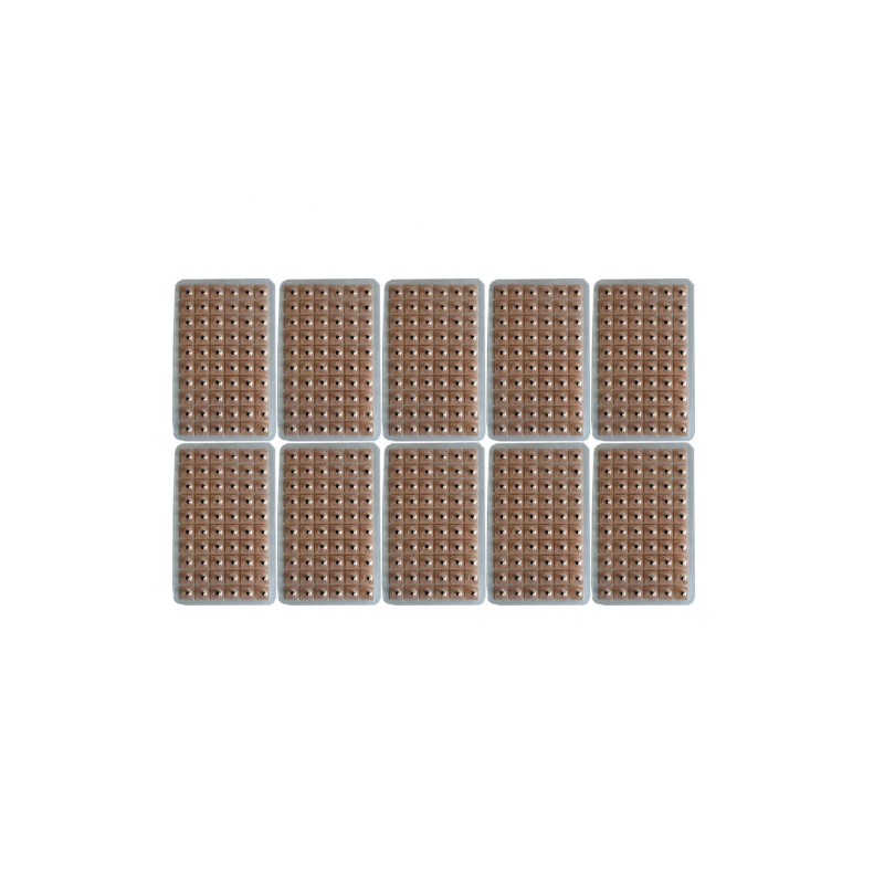 Ear Seeds Supplier - Vaccaria 600 Counts Acupressure Kit