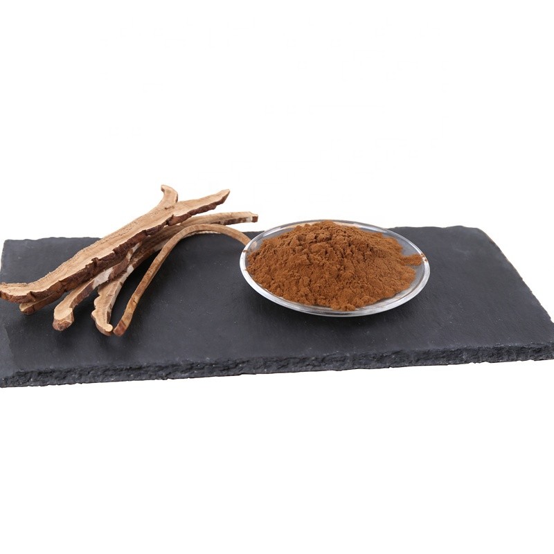 Ganoderma Powder Supplier - Reishi Mushroom Health Supplement