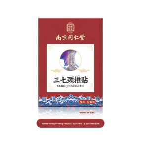 Panax Notoginseng Patches Manufacturer - Nanjing Tongrentang Household Ginger Moxibustion Lumbar