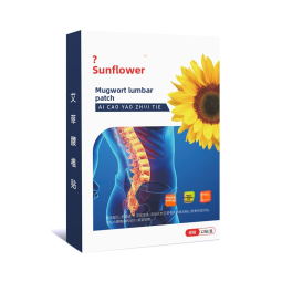 Self-Heating Moxibustion Patch Supplier - Sunflower Knee Cervical Spine Leg Pain Manufacturer's
