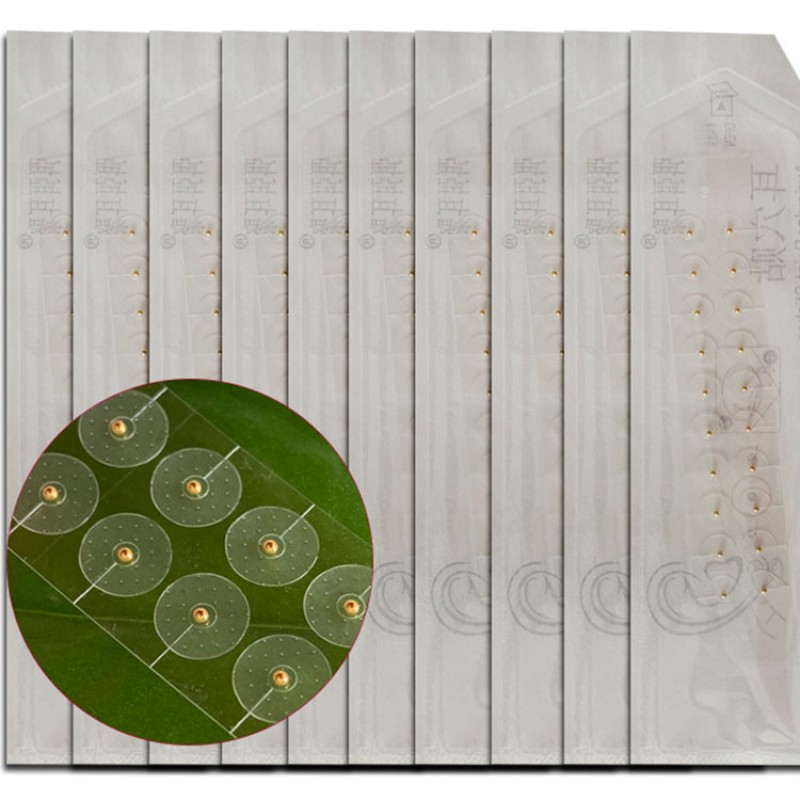 Ear Seeds Supplier - Acupuncture Auricular Beads 50bag