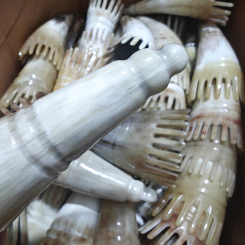 Horn Comb Manufacturer - Beauty Salon Meridian Shampoo