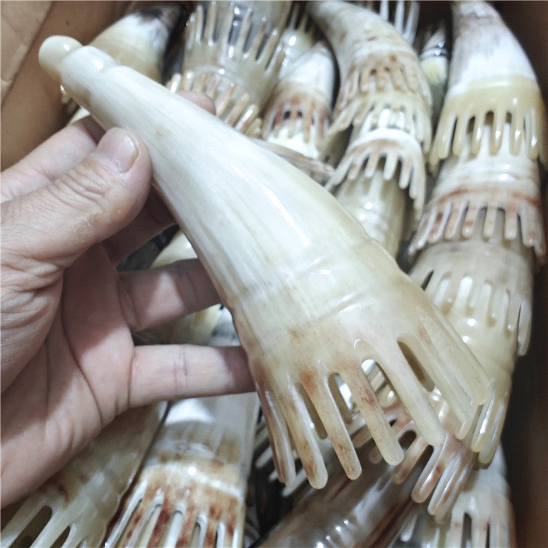 Horn Comb Manufacturer - Beauty Salon Meridian Shampoo