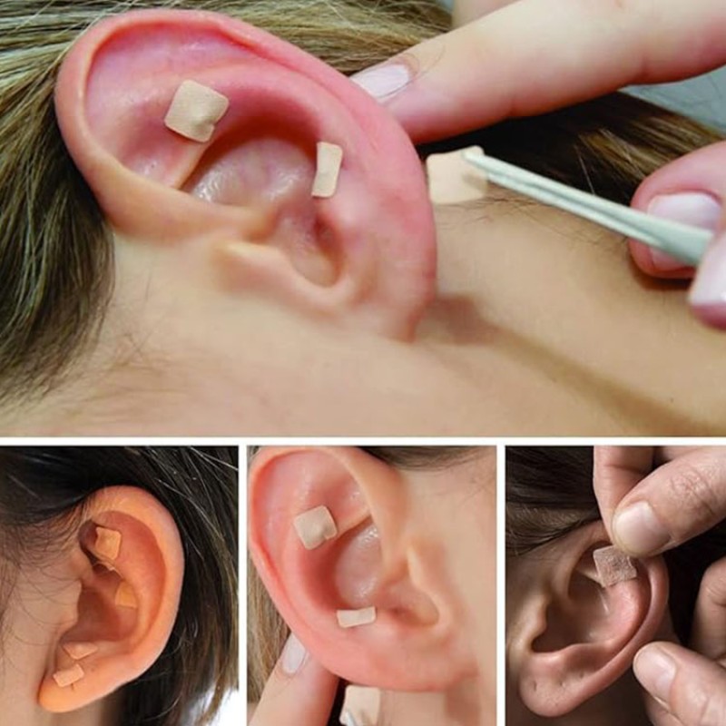 Ear Seeds Manufacturer - Vaccaria Seeds Plaster 600 Pcs