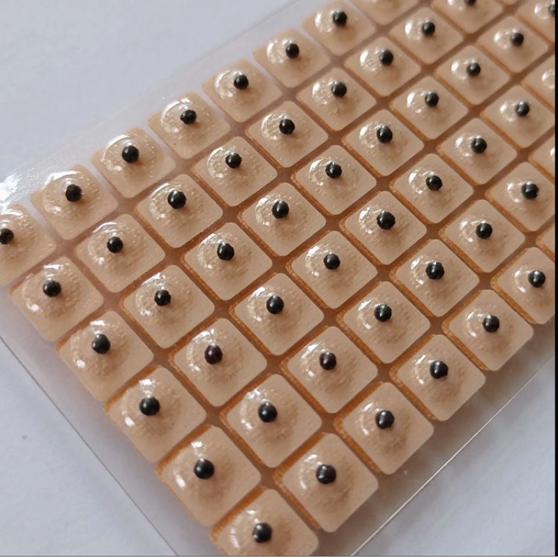 Ear Seeds Manufacturer - Vaccaria Seeds Plaster 600 Pcs