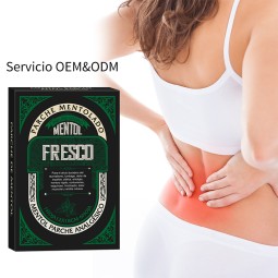 Capsicum Plaster Supplier - Knee Joint Ache Back Relief