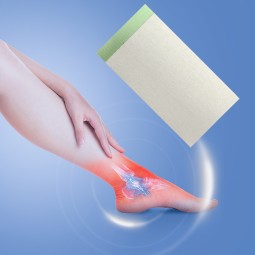 Capsicum Plaster Factory - Herbal Disposable Healthcare Supply