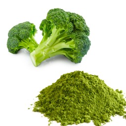 Factory Supply Wholesale Broccoli Extract Powder Organic Broccoli Powder