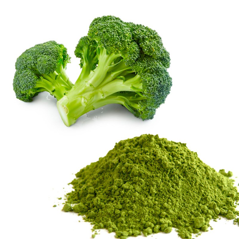 Factory Supply Wholesale Broccoli Extract Powder Organic Broccoli Powder