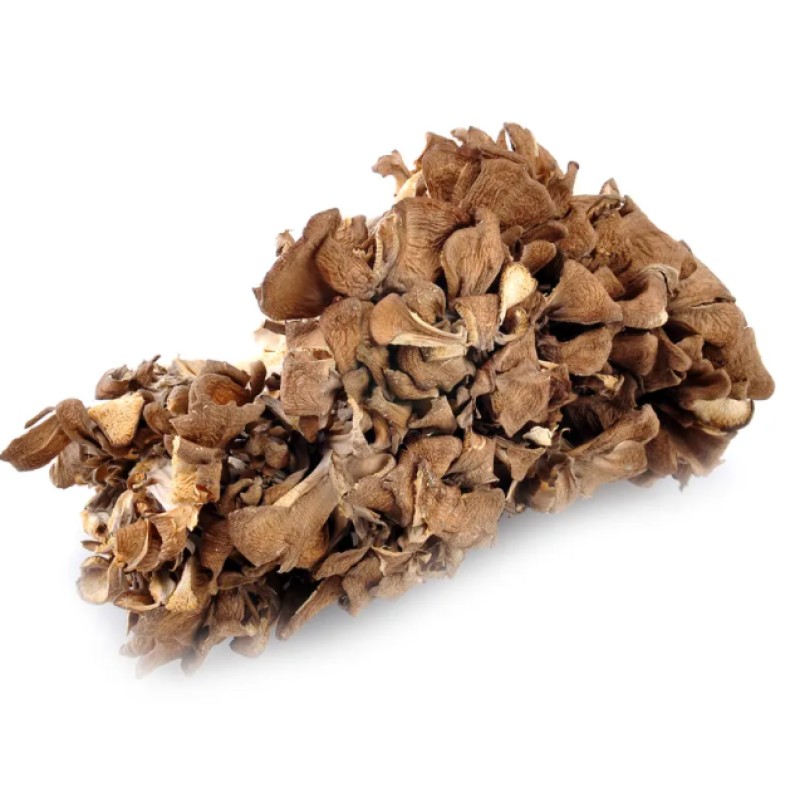 Function Food Ingredient Organic Maitake Extract Powder Polysaccharides 10%~50%