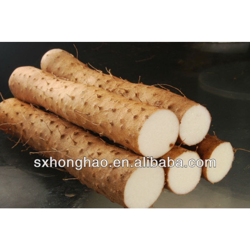 Factory Supply Wholesale Bulk Wild Yam Powder Organic Yam Powder