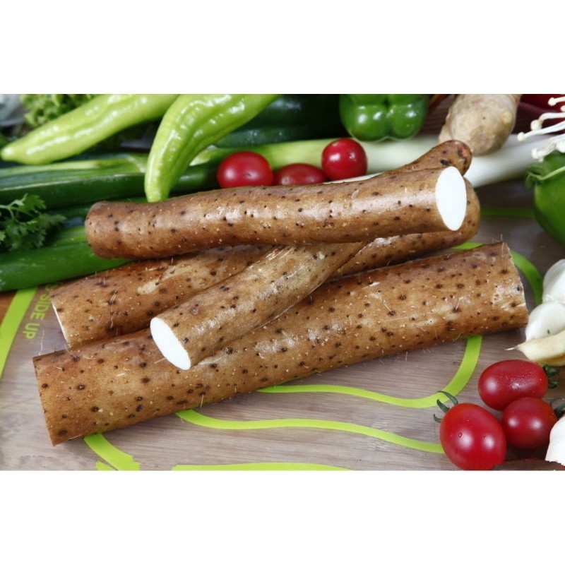 Factory Supply Wholesale Bulk Wild Yam Powder Organic Yam Powder