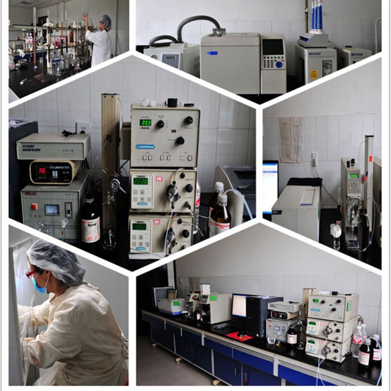 Function Food Ingredient Organic Maitake Extract Powder Polysaccharides 10%~50%