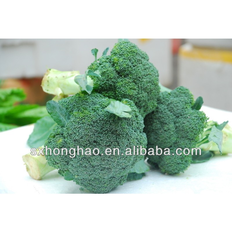 Factory Supply Wholesale Broccoli Extract Powder Organic Broccoli Powder