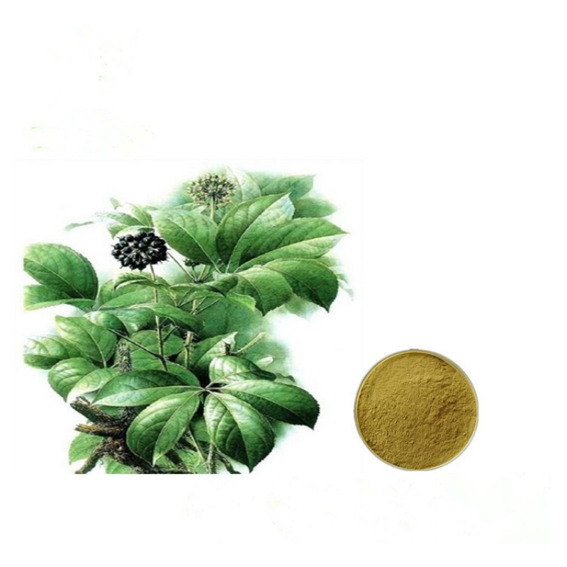 Acanthopanax Senticosus Extract Powder Raw Material Siberian Ginseng Extract Eleutherosides 2% Eleuthero Extract