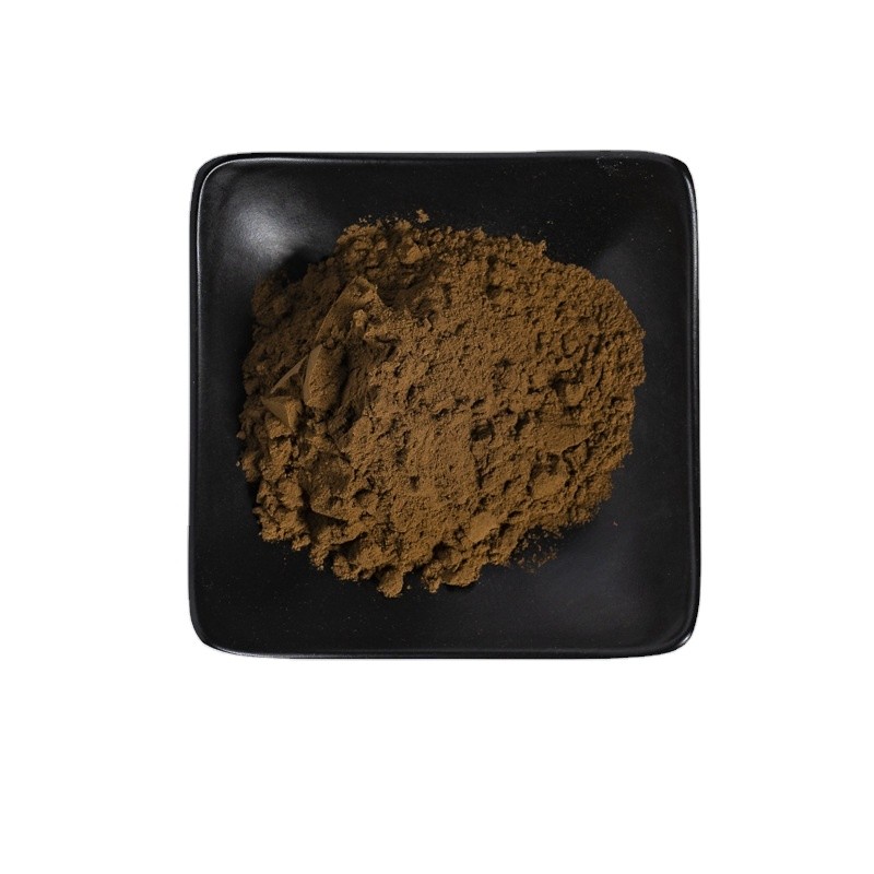 Black Garlic Extract Powder Supplement Black Garlic S-allylcysteine SAC Powder 1%