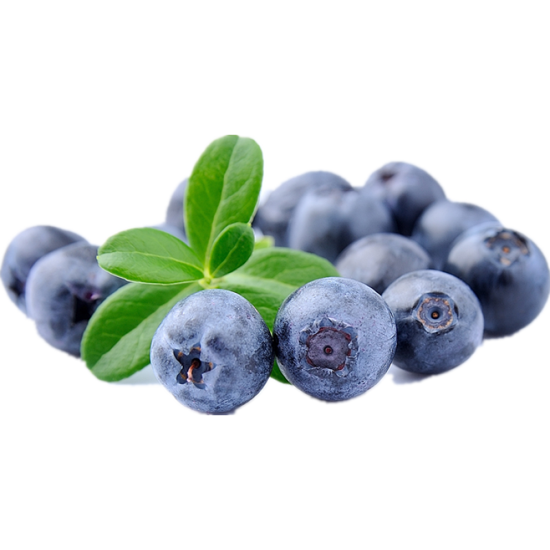 Fruit Extract Wild Blueberry Powder Blueberry Juice Powder Water Soluble Blueberry Fruit Powder