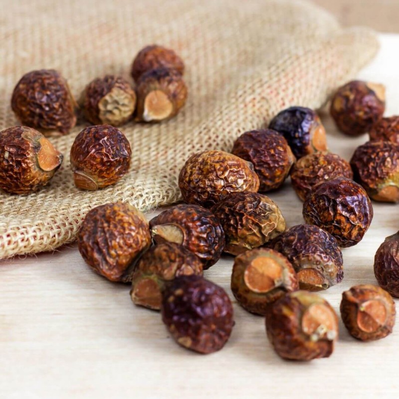 Factory Supply Wholesale  Soapnut Saponins Extract Soapberry Extract  Powder