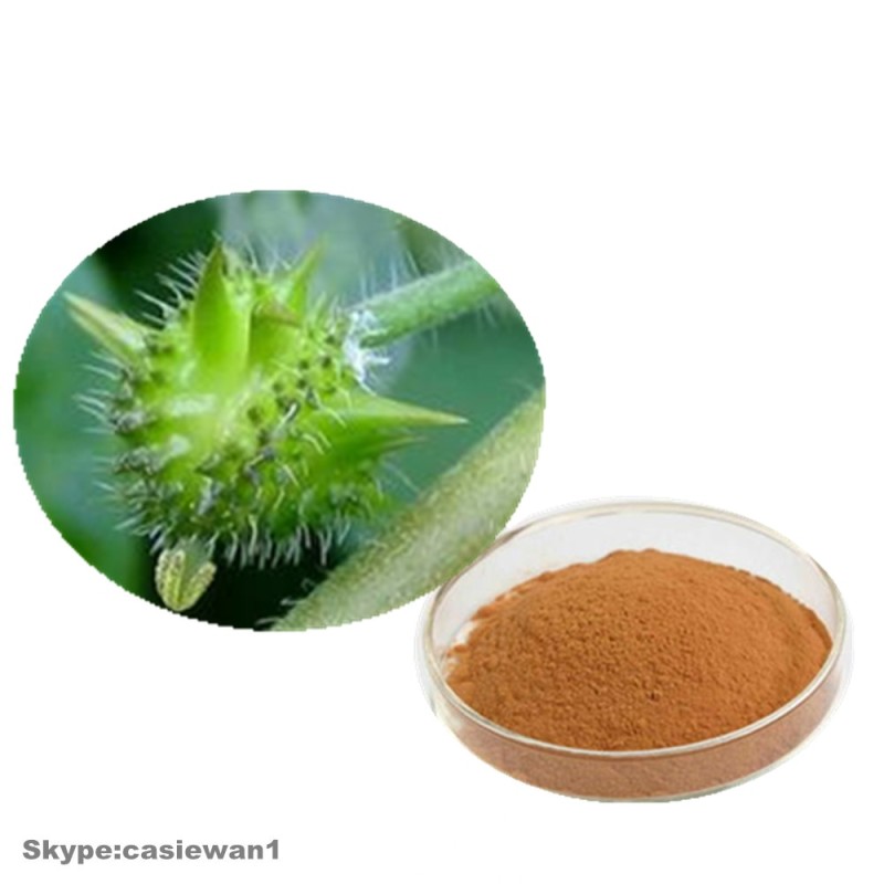 Tribulus Terrestris Saponin Powder 90% Raw Material Tribulus Terrestris Extract Capsules Tribulus Extract Saponins