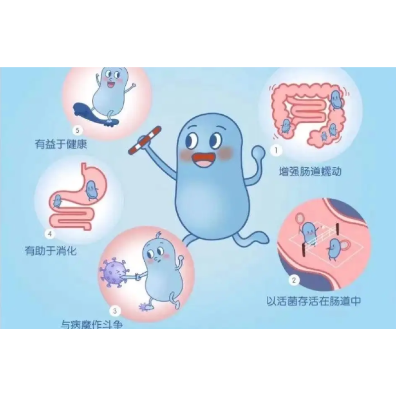 Lactobacillus Rhamnosus GG Good Quality Supply Probiotics Powder Lactobacillus Rhamnosus