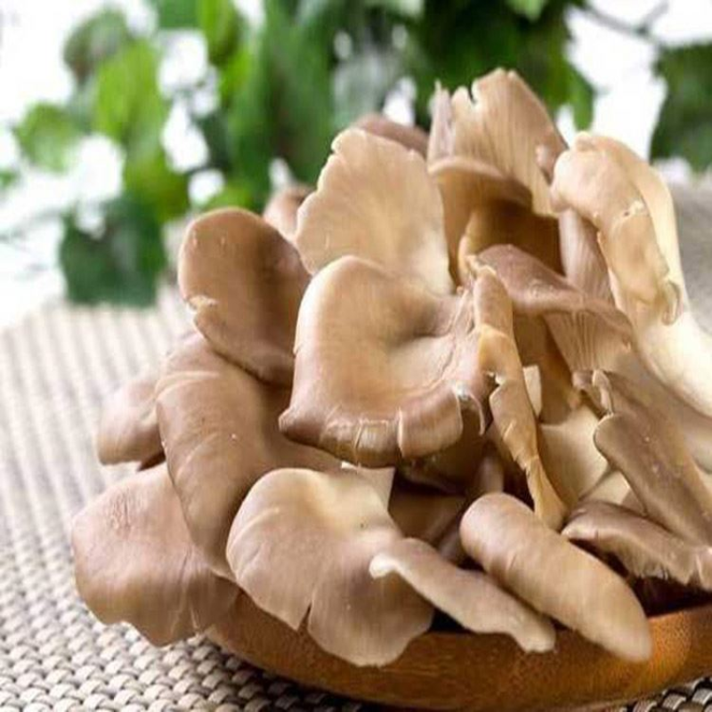 Oyster Mushroom Extract Powder Polysaccharides Pleurotus Ostreatus 30% Oyster Mushroom Powder Food Grade Oyster Mushroom Extract