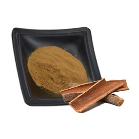 Cinnamon Extract Powder Polyphenols 20% Cinnamon Bark Powder Natural Bulk Cinnamomum Cassia Extract