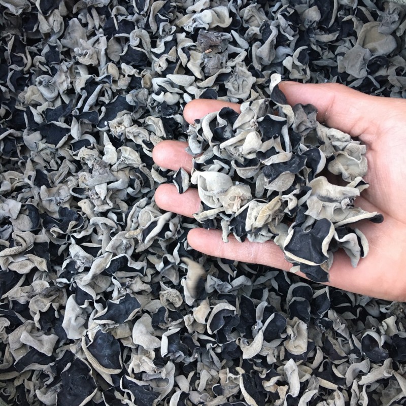 Black Fungus Extract Mushroom Black Fungus Powder Auricularia Auricula-Judae 30% Polysaccharides Auricularia Auricula Extract